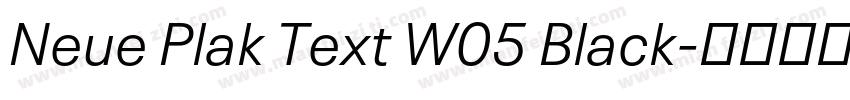 Neue Plak Text W05 Black字体转换
